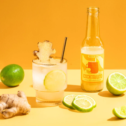 Moscow Mule 20 cl - Cocktailito