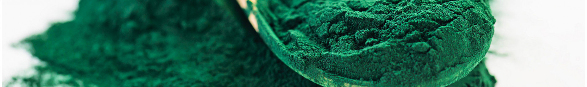 Spiruline