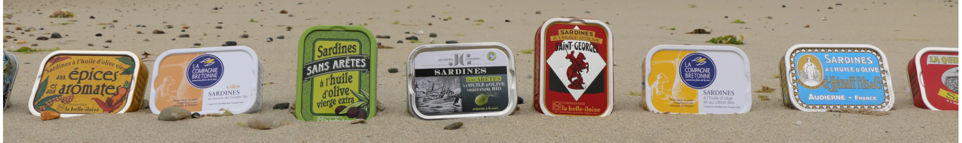 Sardines en boite