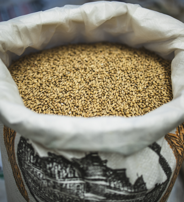 Une association de brasseries bretonnes