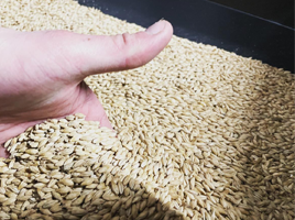 Distillerie du golfe